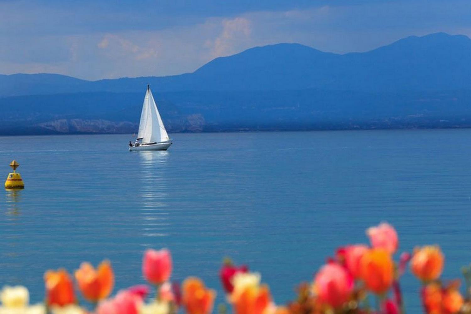Agli Ulivi Desenzano del Garda